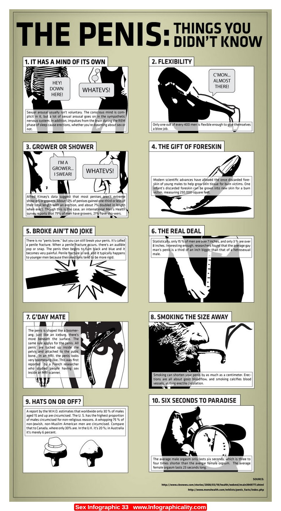 Infographic with facgts about the penis