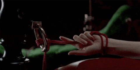 Things You Should Know! BDSM and Your Sexual Health by Papa-Bear